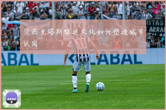 贝西克塔斯球迷文化如何塑造城市认同