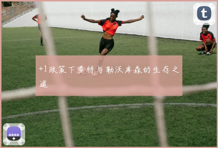 +1政策下多特与勒沃库森的生存之道