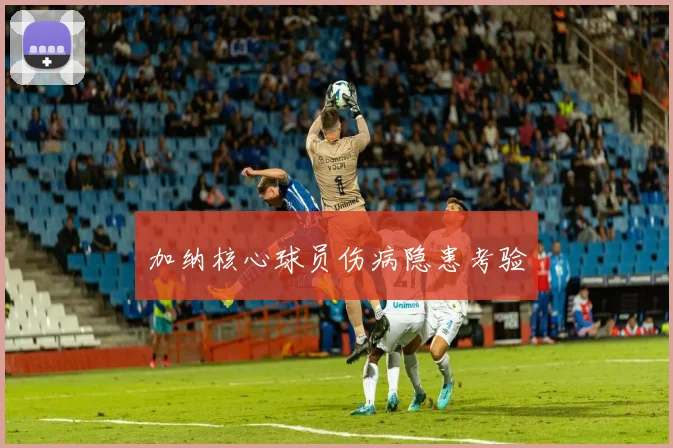 加纳核心球员伤病隐患考验