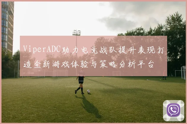 ViperADC助力电竞战队提升表现打造全新游戏体验与策略分析平台